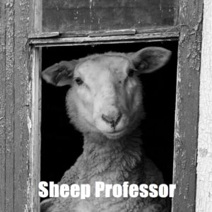 Sheep Professor